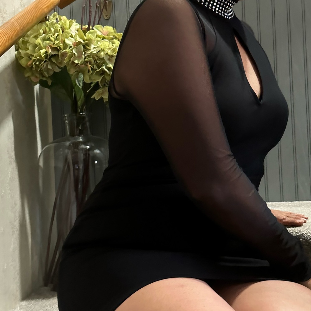 Windsor Mini Dress